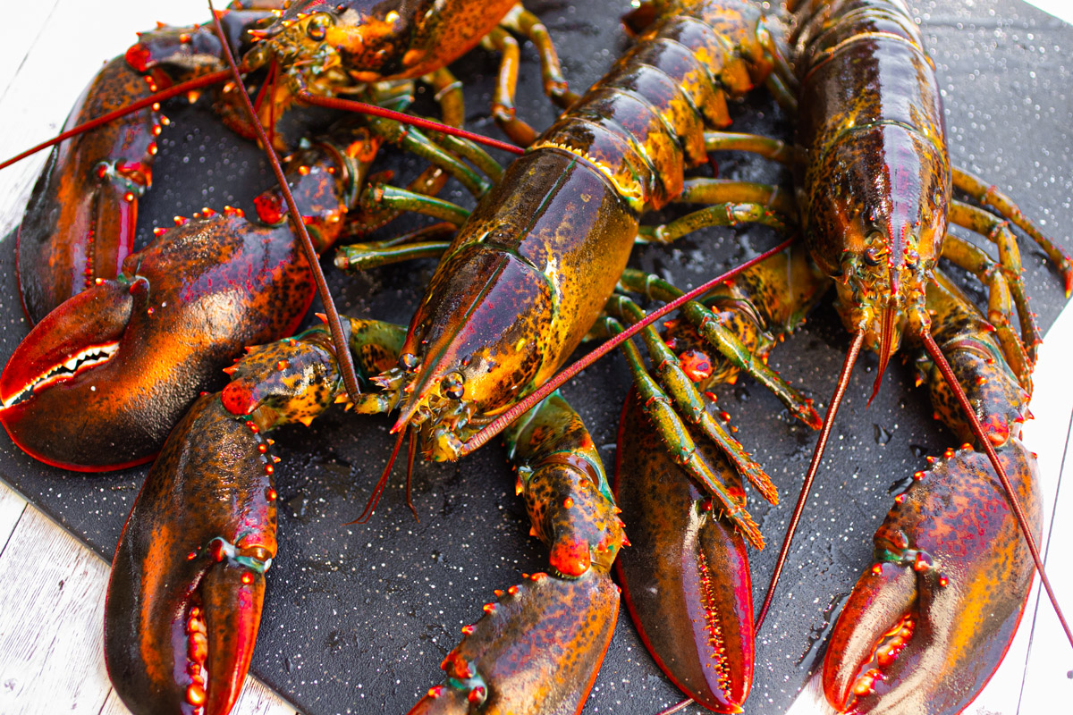 http://foodisafourletterword.com/wp-content/uploads/2020/01/cantonese_lobster3.jpg