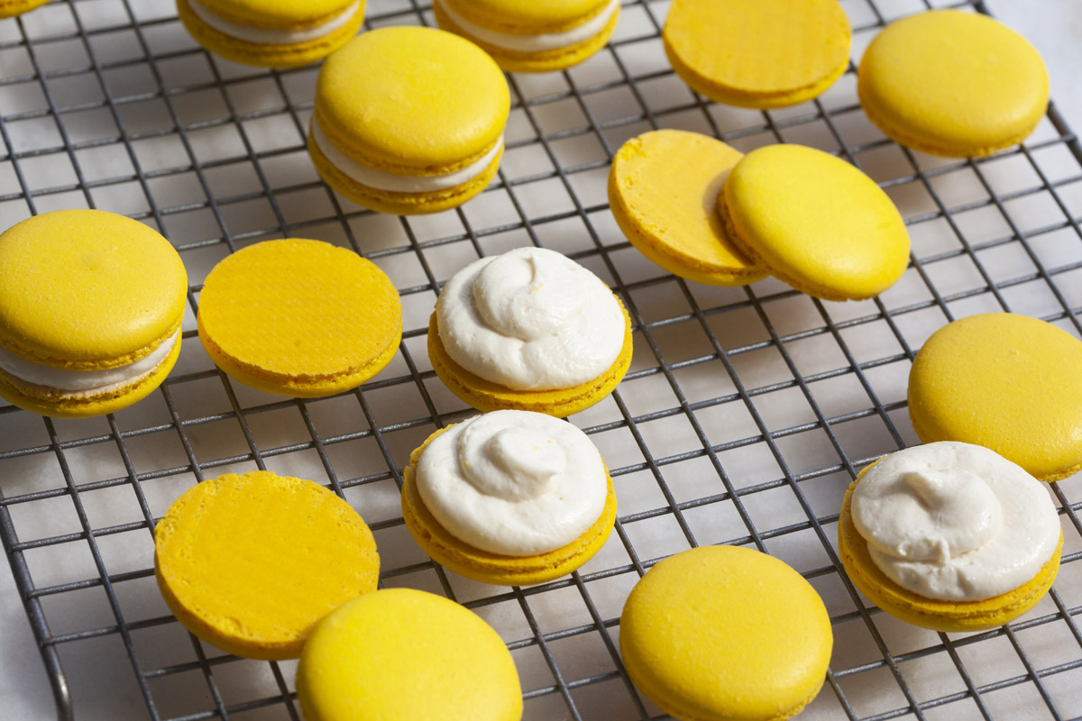 Lemon Cheesecake Macaron Recipe