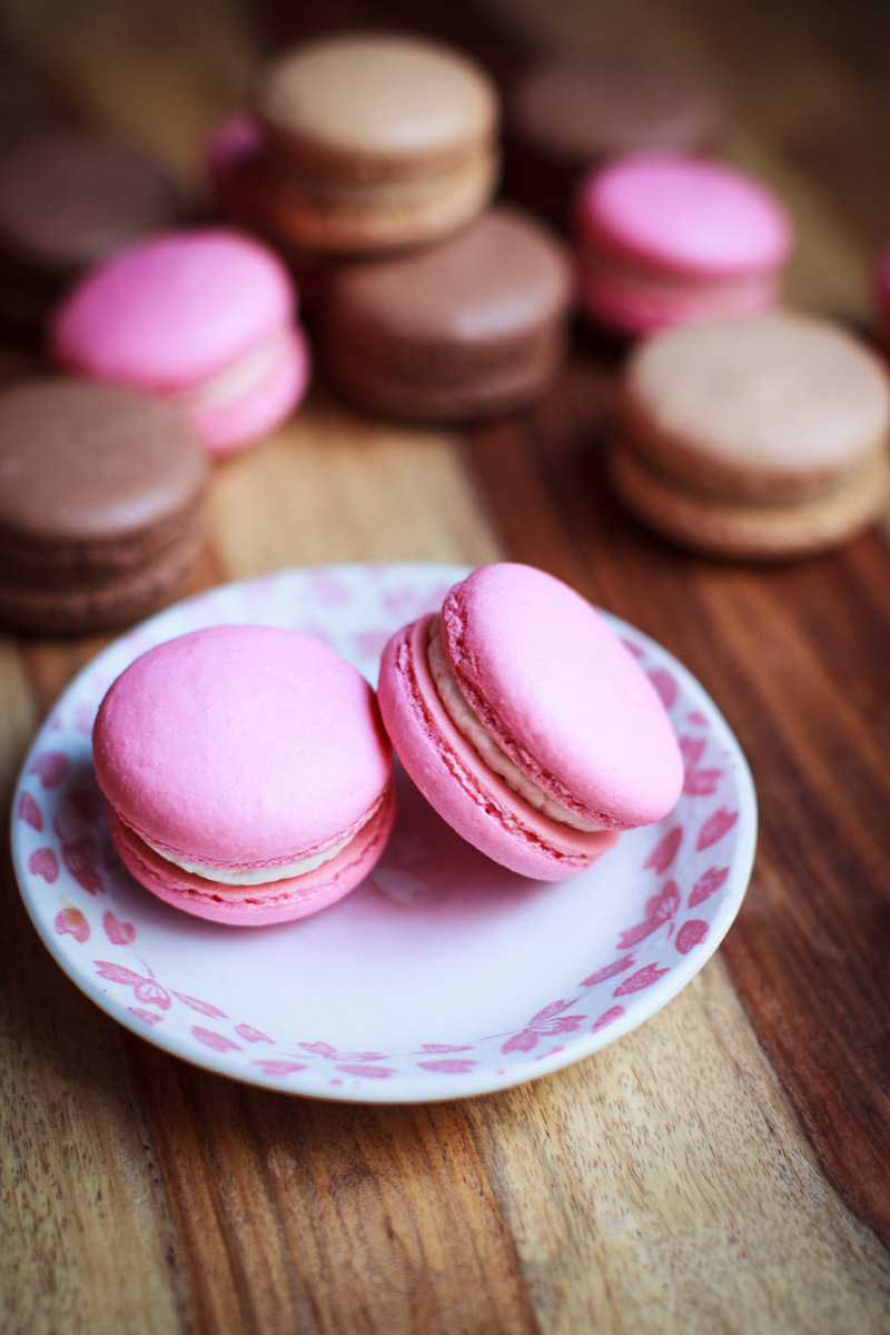 French Macarons Recipe French Meringue Method Food Is Four Letter Word,Full Grown Wallaby Pet